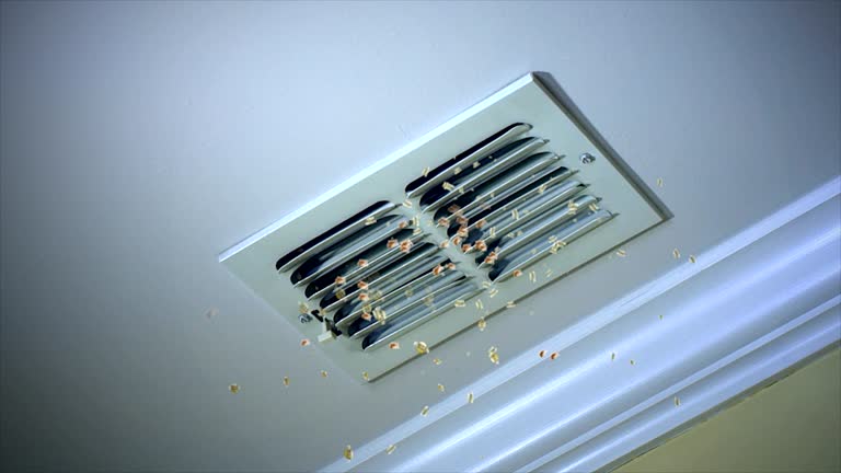 Best Air Duct Mold Removal  in South Haven, IN
